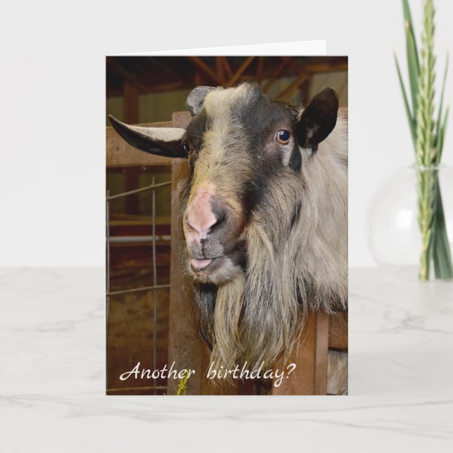 Old Goat Birthday Humor Card (Front)