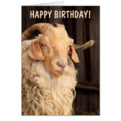 Old Goat Funny Birthday (Front)