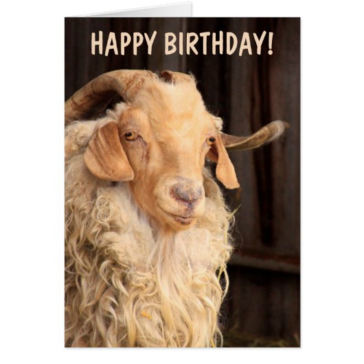 Old Goat Funny Birthday Cards (Front)