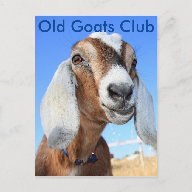 Old Goats Club Postcard (Front)
