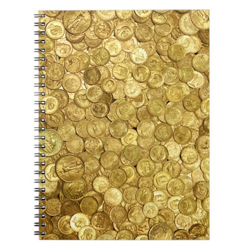 Old Gold Coin Collection Notebook