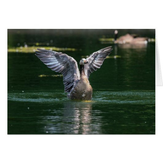 Old Goose Wing Action Cards (Front Horizontal)