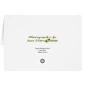 Old Gossips (Back Horizontal)