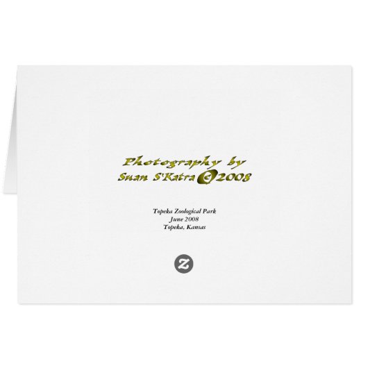 Old Gossips (Back Horizontal)