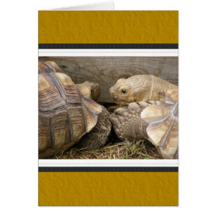Old Gossips Cards