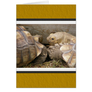Old Gossips Cards