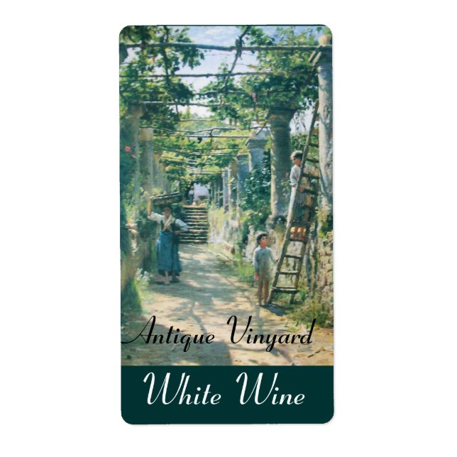 OLD GRAPE VINEYARD HARVEST WINE TASTING PARTY LABEL (Front)