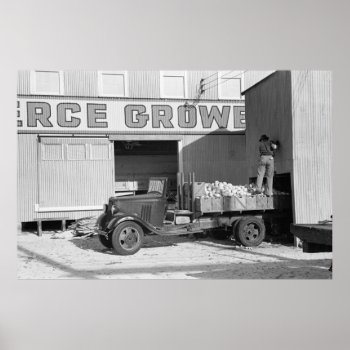 Old Grapefruit Truck  1930s Poster by Photoblog at Zazzle
