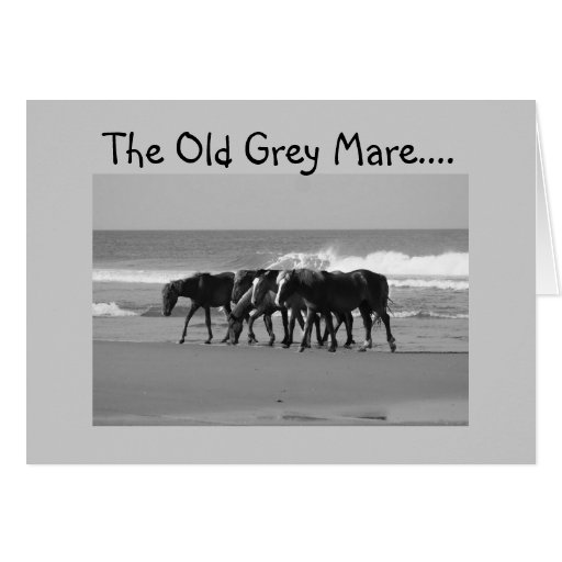 OLD GREY MARE JUST AIN'T SO YOUNG-GROUP CARD | Zazzle