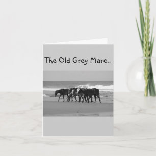 OLD GREY MARE JUST AIN'T SO YOUNG-GROUP CARD
