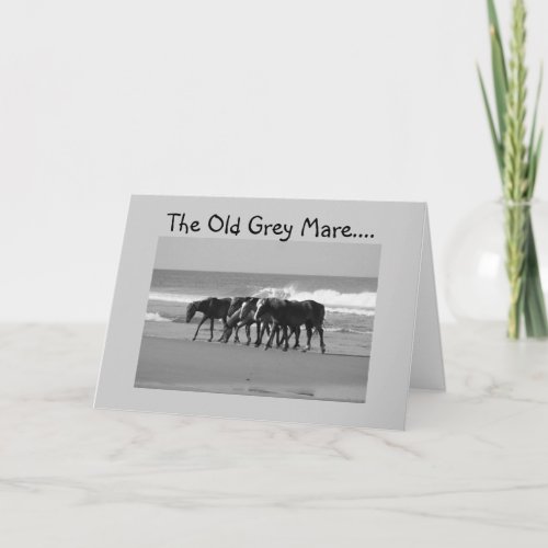 OLD GREY MARE JUST AINT SO YOUNG_GROUP CARD