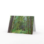Old Growth Forest Card