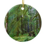 Old Growth Forest Ceramic Ornament