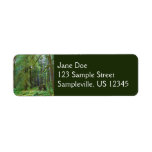 Old Growth Forest Label