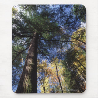 Old Growth Forest Mouse Pad