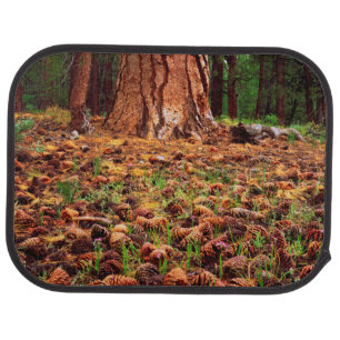 Old-growth Ponderosa tree with pine cones Car Floor Mat