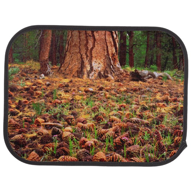 Old-growth Ponderosa tree with pine cones Car Floor Mat (Rear)
