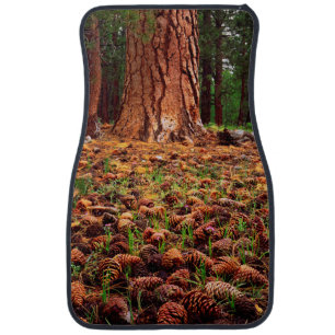 Old-growth Ponderosa tree with pine cones Car Mat