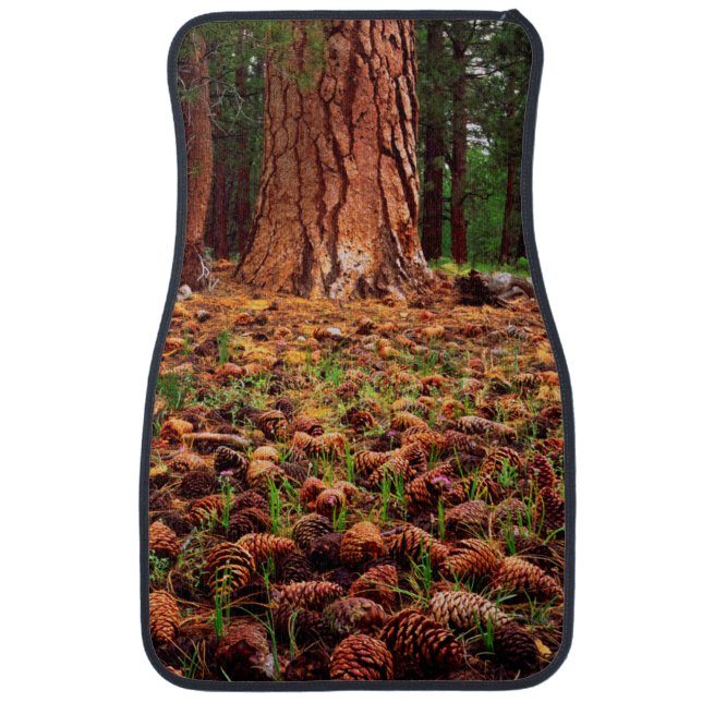 Old-growth Ponderosa tree with pine cones Car Mat (Front)