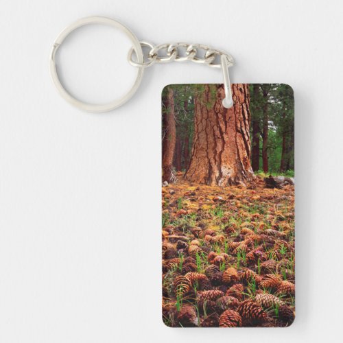 Old_growth Ponderosa tree with pine cones Keychain