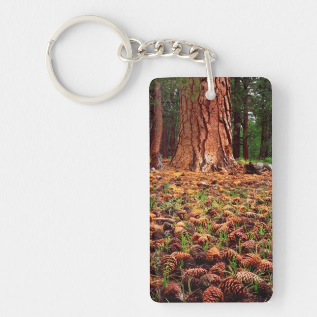Old-growth Ponderosa tree with pine cones Keychain (Front)