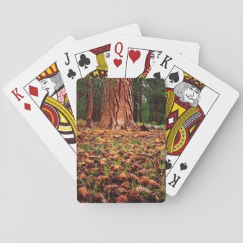 Old-growth Ponderosa Tree With Pine Cones Playing Cards by OneWithNature at Zazzle