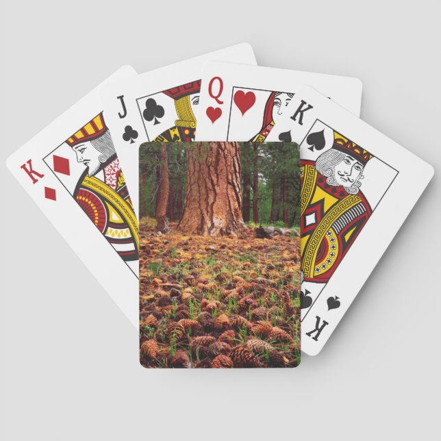 Old-growth Ponderosa tree with pine cones Poker Cards (Back)