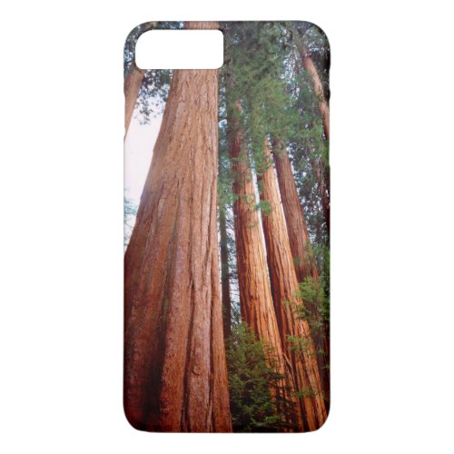 Old_growth Sequoia Redwood trees iPhone 8 Plus7 Plus Case