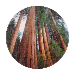 Old-growth Sequoia Redwood trees Cutting Board