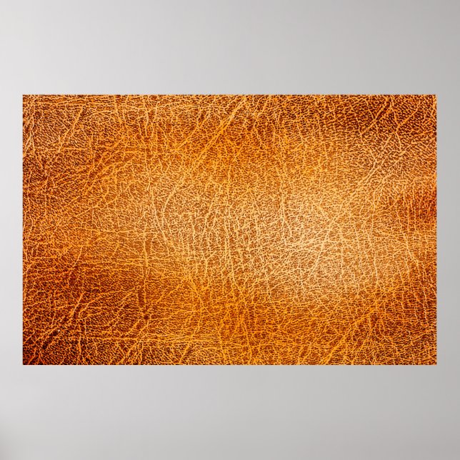 Old grunge brown leather texture poster (Front)