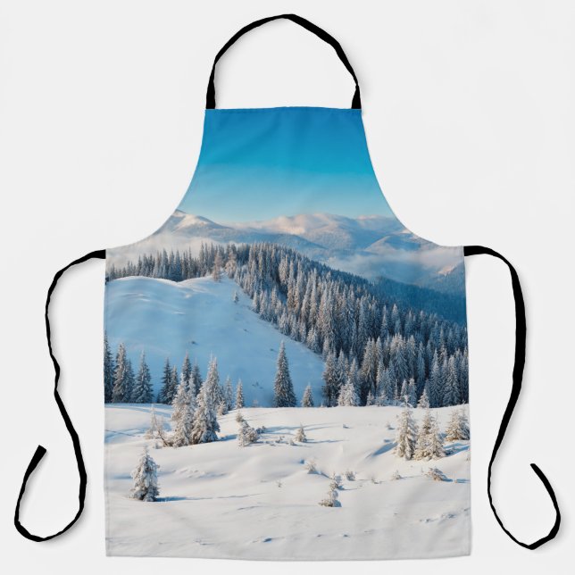 Old grunge wooden texture or background with termi apron (Front)