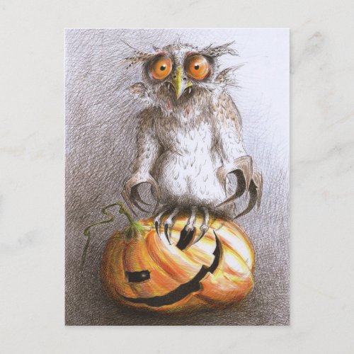 Old Halloween Dracula Owl Art Postcard