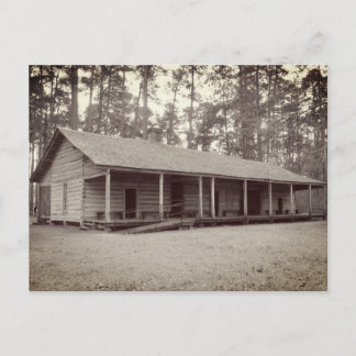 Old Homesteader's Cabin Postcard