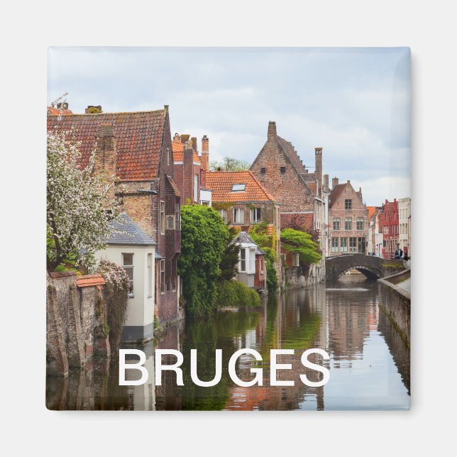 Old houses in Bruges, Belgium Magnet (Front)