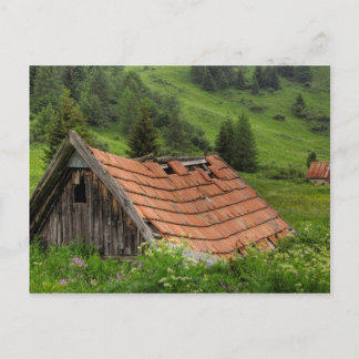 OLD HUT POSTCARD