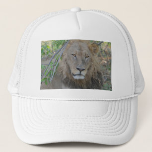 Old Lion Hanging Out. Trucker Hat