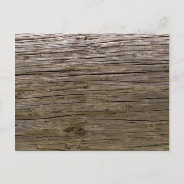 Old log texture postcard (Front)