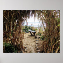 Old Man's Beach- San Onofre State Beach