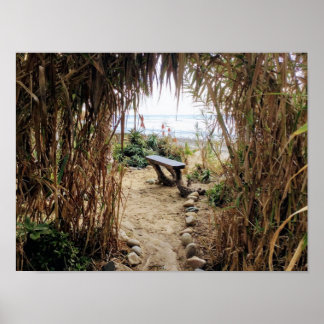 Old Man's Beach- San Onofre State Beach Poster