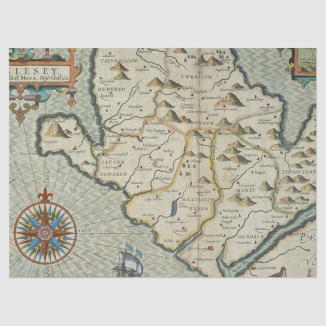 Old Map Series 1 Design 16 Tissue Paper (Front)