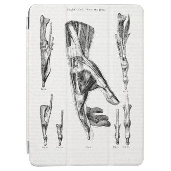 Old Medical Art Muscles Of The Hand And Wrist Ipad Air Cover by vintage_anatomy at Zazzle