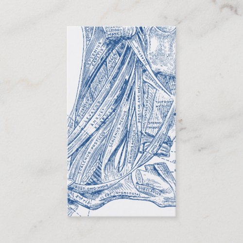 Old Medical Drawing Muscles of the Neck Blue Business Card