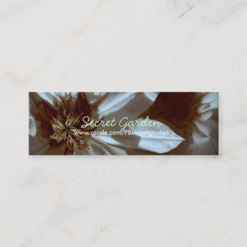 Old memories 3 White Clematis Floral Photography B Mini Business Card