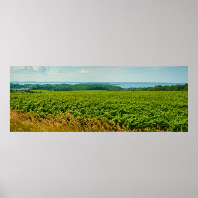 Old Mission Peninsula, Michigan Poster (Front)