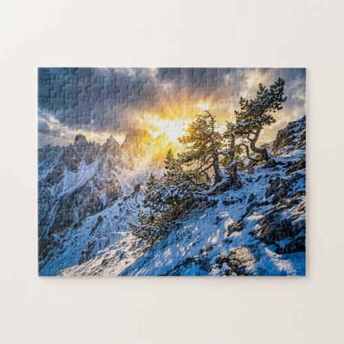 Old mountain pine in dramatic winter light jigsaw puzzle