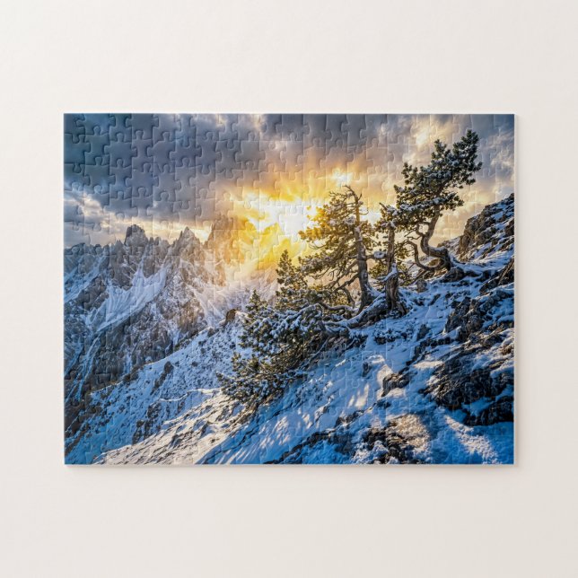 Old mountain pine in dramatic winter light jigsaw puzzle (Horizontal)