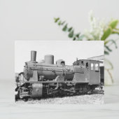 Old narrow-gauge steam engine 157-5674 (Standing Front)