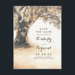 Old Oak Tree and Carved Heart Save the Date Announcement Postcard<br><div class="desc">Rustic tree and string of lights save the date postcards</div>