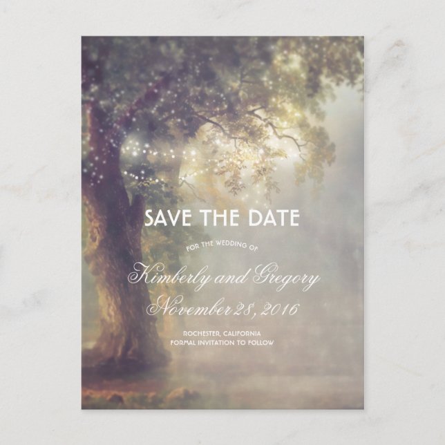 Old Oak Tree and String Lights Save the Date Announcement Postcard (Front)