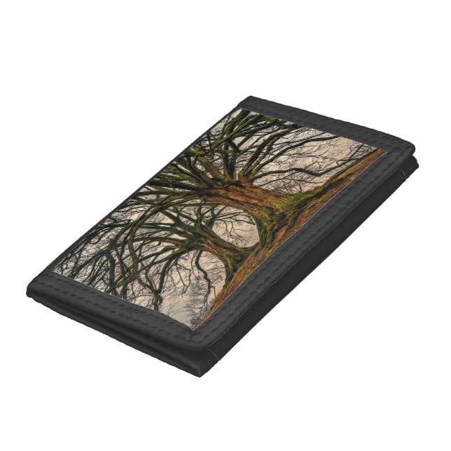 Old Oak Tree in Winter Trifold Wallet (Bottom)
